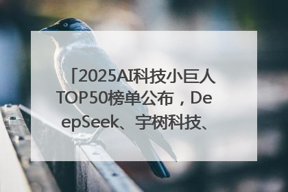 2025AI科技小巨人TOP50榜单公布，DeepSeek、宇树科技、蘑菇车联等企业荣誉上榜