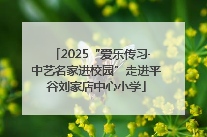 2025“爱乐传习·中艺名家进校园”走进平谷刘家店中心小学