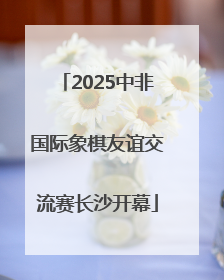 2025中非国际象棋友谊交流赛长沙开幕
