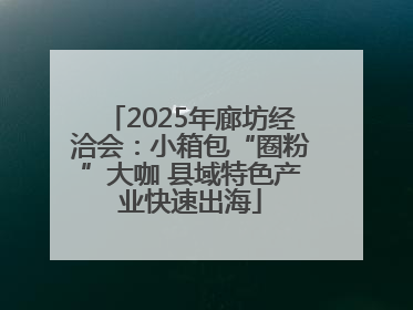 2025年廊坊经洽会：小箱包“圈粉”大咖 县域特色产业快速出海