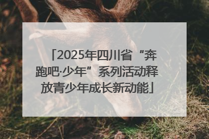 2025年四川省“奔跑吧·少年”系列活动释放青少年成长新动能
