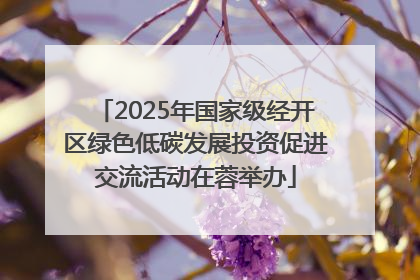 2025年国家级经开区绿色低碳发展投资促进交流活动在蓉举办