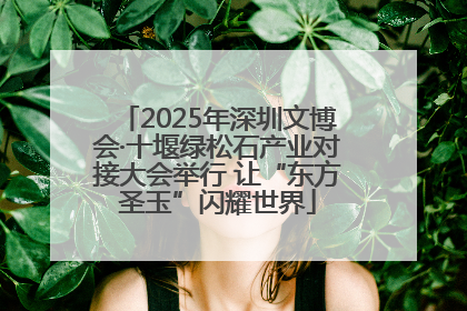 2025年深圳文博会·十堰绿松石产业对接大会举行 让“东方圣玉”闪耀世界
