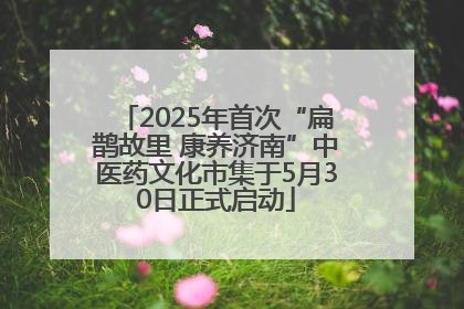 2025年首次“扁鹊故里 康养济南”中医药文化市集于5月30日正式启动