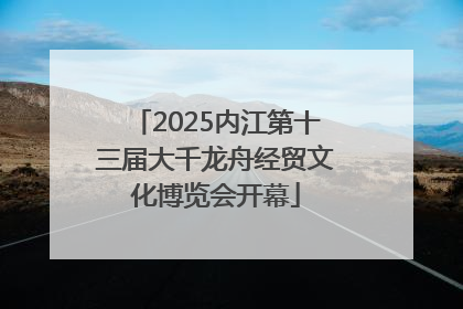 2025内江第十三届大千龙舟经贸文化博览会开幕
