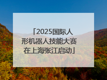 2025国际人形机器人技能大赛在上海张江启动
