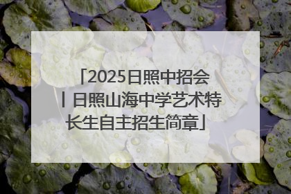 2025日照中招会丨日照山海中学艺术特长生自主招生简章
