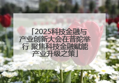 2025科技金融与产业创新大会在普陀举行 聚焦科技金融赋能产业升级之策
