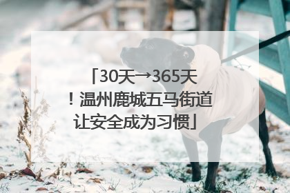 30天→365天！温州鹿城五马街道让安全成为习惯