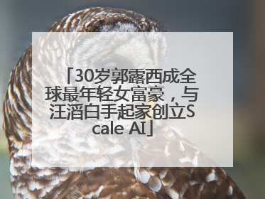 30岁郭露西成全球最年轻女富豪，与汪滔白手起家创立Scale AI