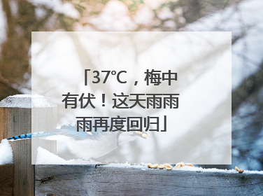 37℃，梅中有伏！这天雨雨雨再度回归