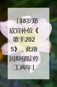 38岁郑欣宜补位《歌手2025》，此前因抑郁症停工两年
