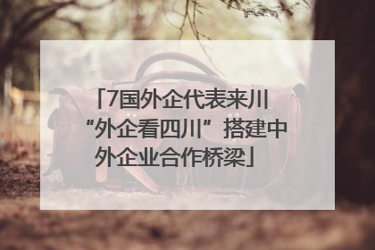 7国外企代表来川 “外企看四川”搭建中外企业合作桥梁