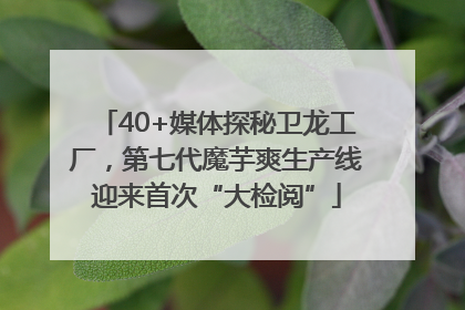 40+媒体探秘卫龙工厂，第七代魔芋爽生产线迎来首次“大检阅”