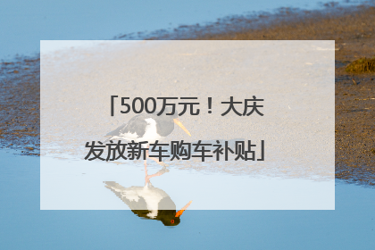 500万元！大庆发放新车购车补贴
