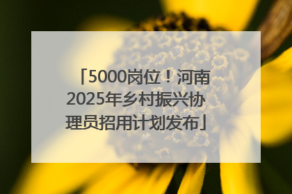 5000岗位！河南2025年乡村振兴协理员招用计划发布