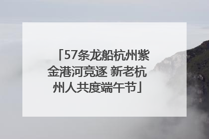 57条龙船杭州紫金港河竞逐 新老杭州人共度端午节