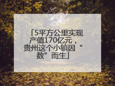 5平方公里实现产值170亿元，贵州这个小镇因“数”而生