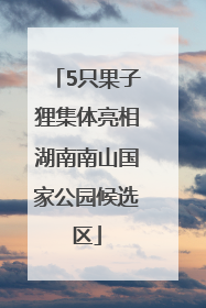 5只果子狸集体亮相湖南南山国家公园候选区