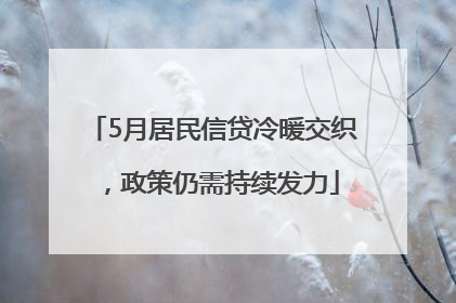 5月居民信贷冷暖交织，政策仍需持续发力