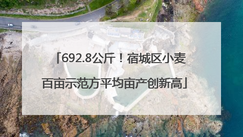 692.8公斤！宿城区小麦百亩示范方平均亩产创新高