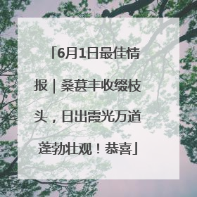 6月1日最佳情报｜桑葚丰收缀枝头，日出霞光万道蓬勃壮观！恭喜