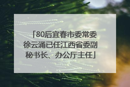 80后宜春市委常委徐云涌已任江西省委副秘书长、办公厅主任