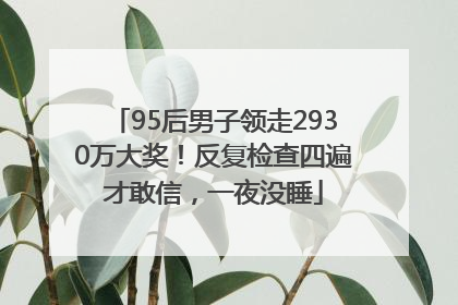95后男子领走2930万大奖！反复检查四遍才敢信，一夜没睡
