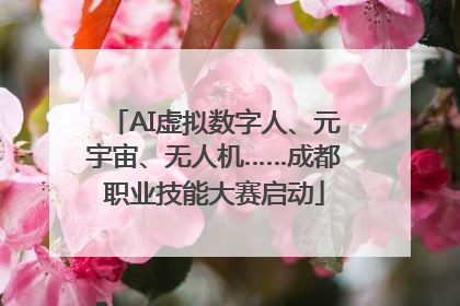 AI虚拟数字人、元宇宙、无人机……成都职业技能大赛启动