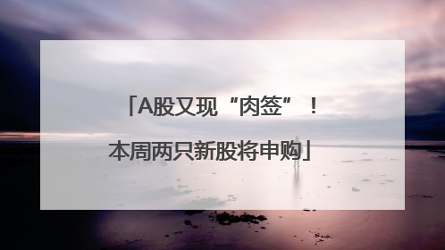 A股又现“肉签”！本周两只新股将申购
