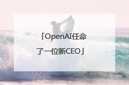 OpenAI任命了一位新CEO