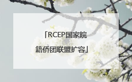 RCEP国家皖籍侨团联盟扩容